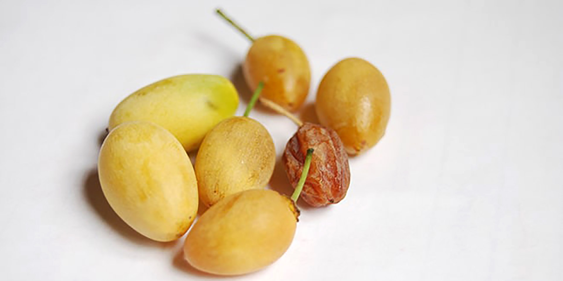 Eembe, traditional fruit, Namibia